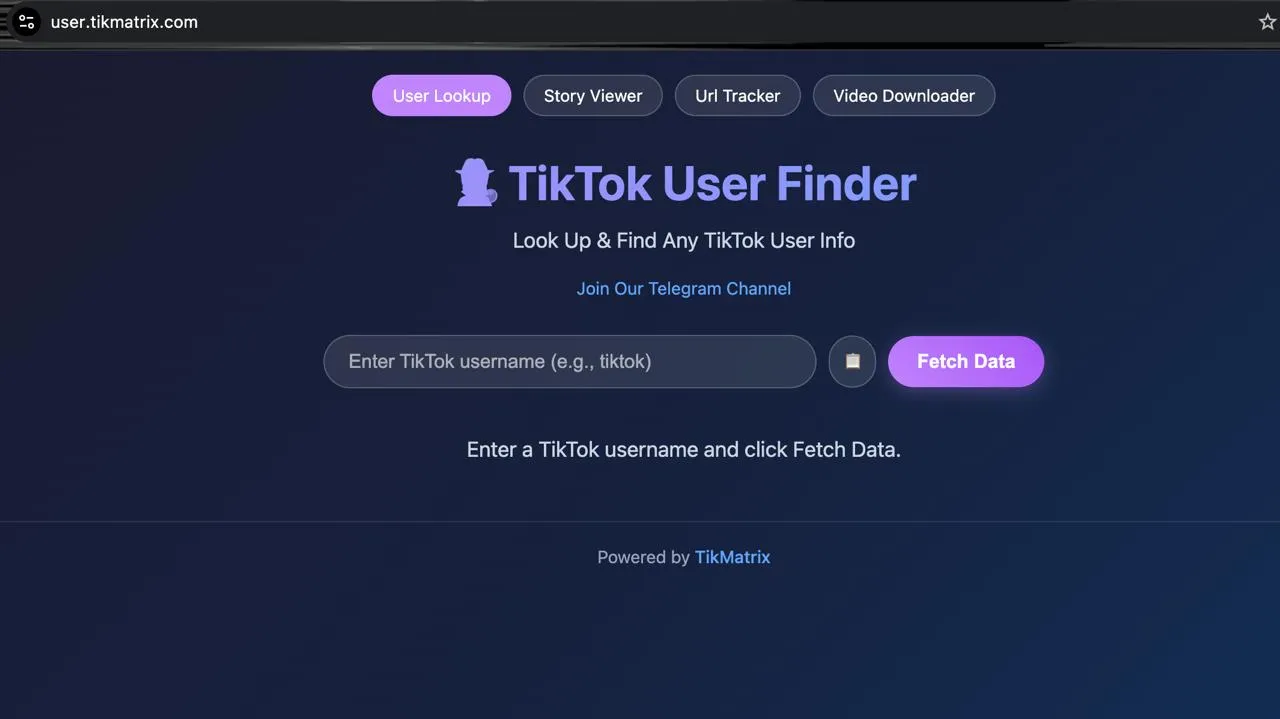 TikMatrix — TikTok 用户查询